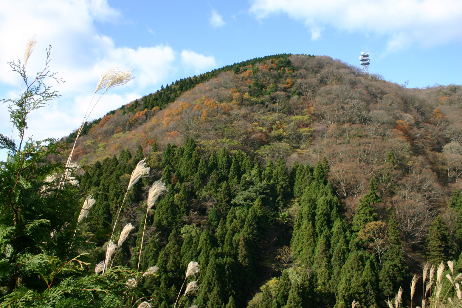 高縄山