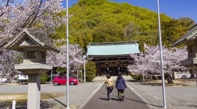 桜満開　護国神社　愛媛万葉苑を投稿します