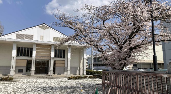 愛媛大学城北キャンパスの桜が咲いたを投稿します