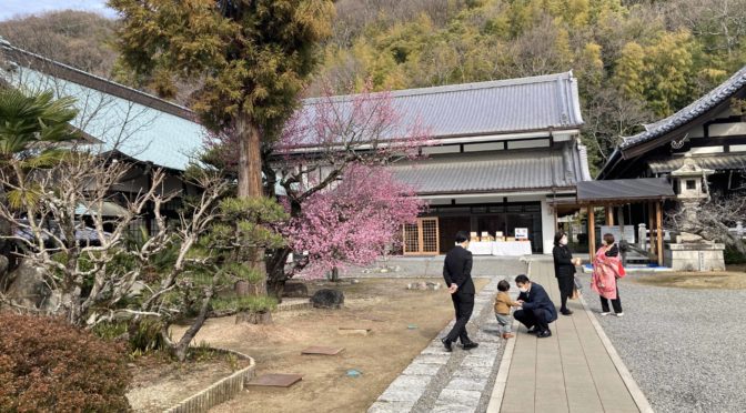 愛媛県護国神社、愛媛万葉苑　１月末から３月末を投稿しました。