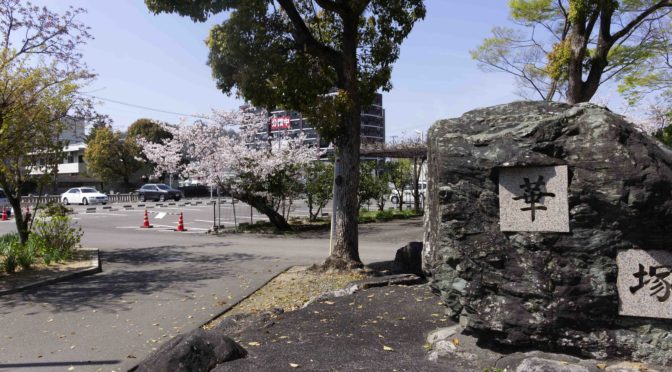 桜満開　愛媛県護国神社　愛媛万葉苑を投稿します